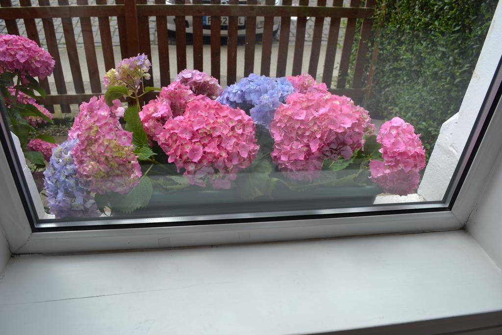 אדינבורו Pitt Street Apartment Beautiful Spacious Apartment Free Parking And Free Sanitizer מראה חיצוני תמונה